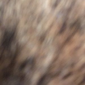 Meet your Posher, Debbie